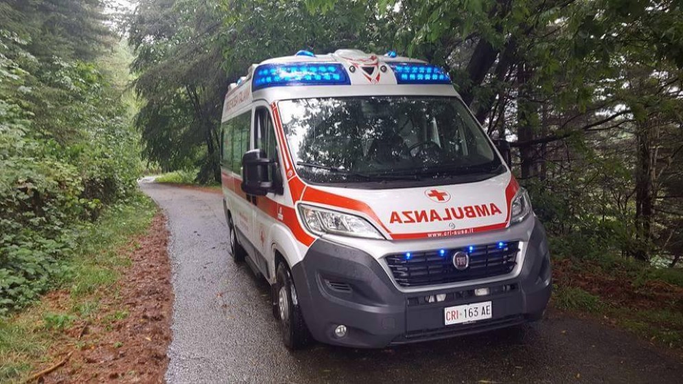 Cade dalla moto a causa di un cinghiale, dramma sfiorato