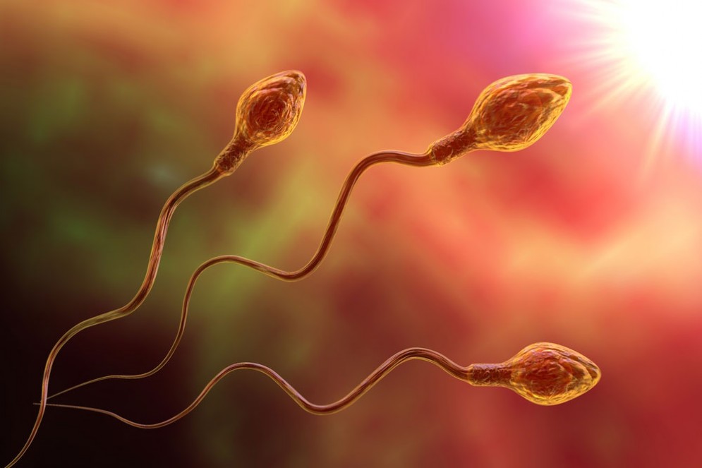Spermatozoi umani in crollo. Infertilità maschile