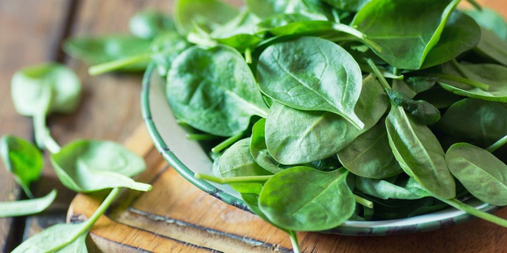Spinaci fanno bene al cervello, e non solo ai muscoli