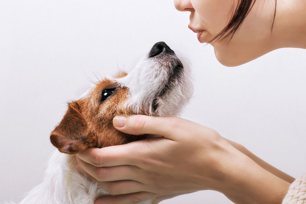 Fasi baciare dal cane  pericoloso?