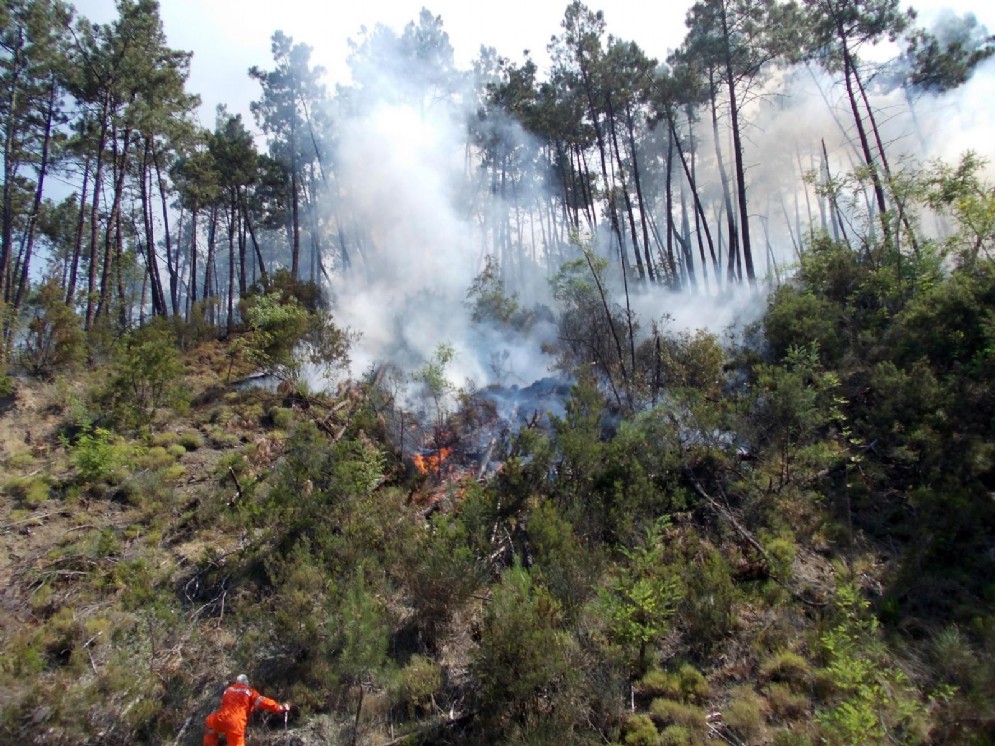 Incendio a Parco Portofino