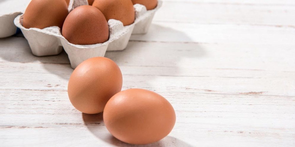 Uova contaminate da Fipronil hanno invaso l'Europa