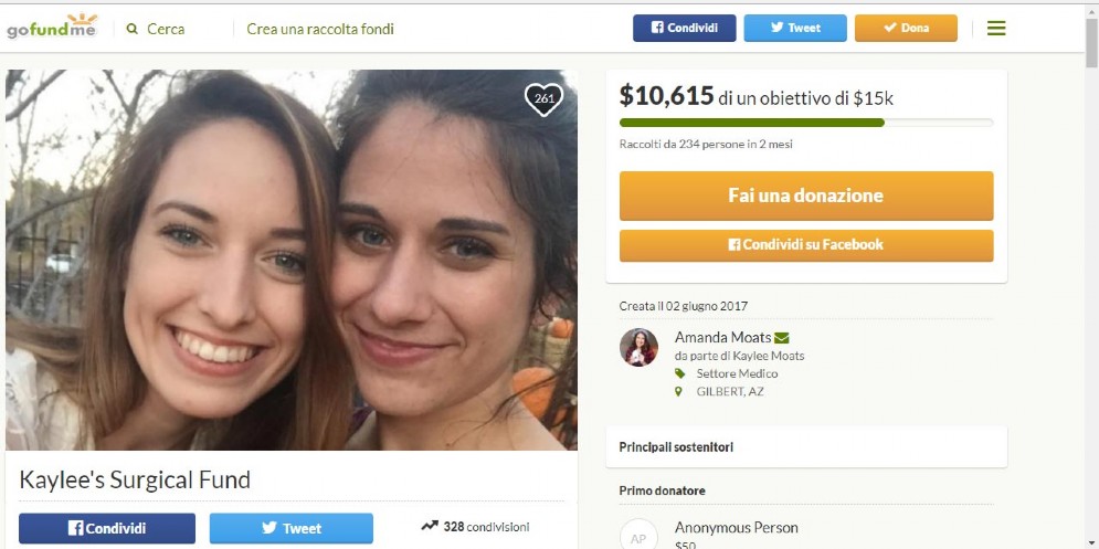 Screenshot della pagina Gofundme per la raccolta fondi