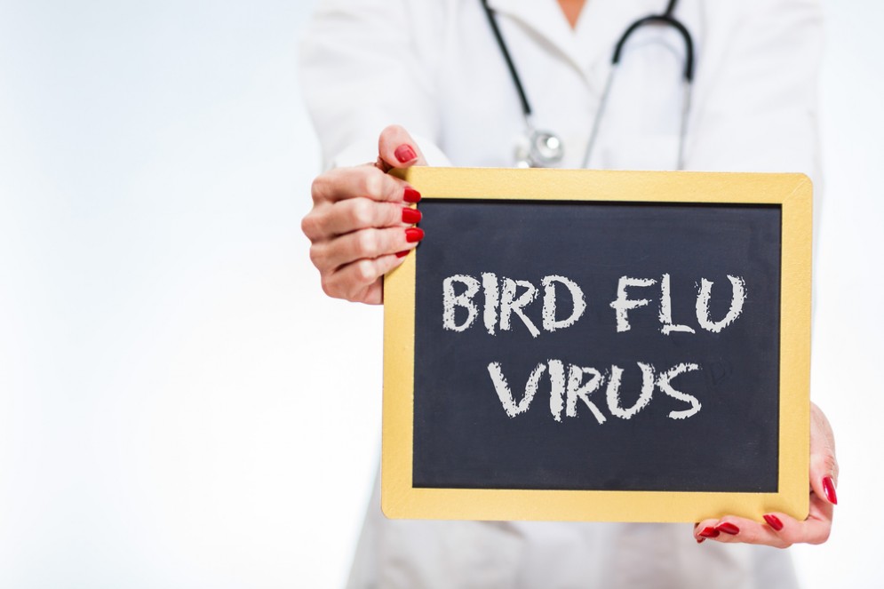 Influenza Aviaria nel veronese