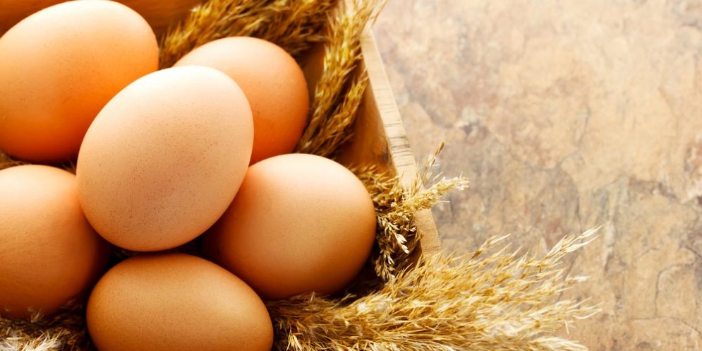 Uova al fipronil, proseguono i controlli a tappeto