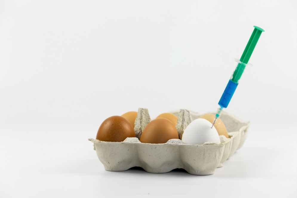 Uova al Fipronil accordo con il Ministero della Salute