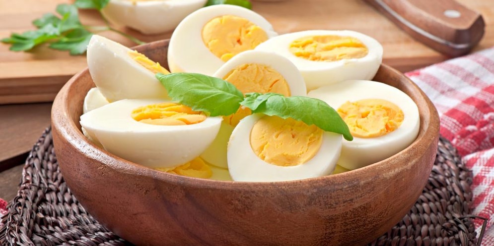 Uovo vegano creato a Udine, non dovrebbe essere chiamato così