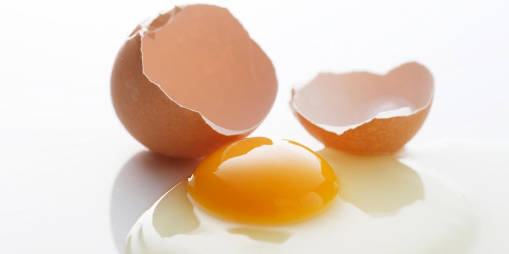 Uova al fipronil, nuovo sequestro in Calabria