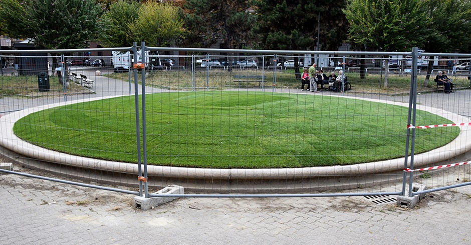 Aiuola di piazza Benefica