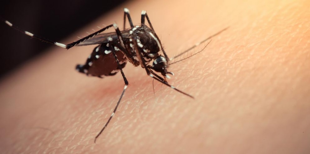 Malaria a Taranto