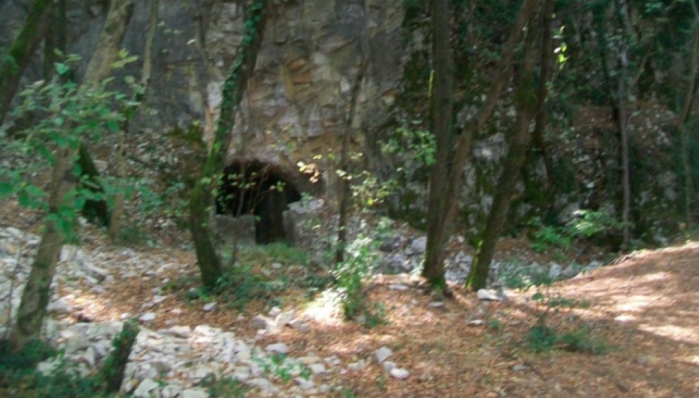 Tornano le visite guidate