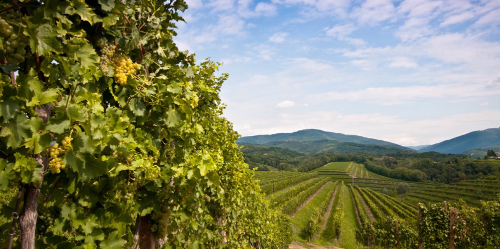 Collio: Shaurli-Bolzonello, Slovenia appoggia candidatura Unesco