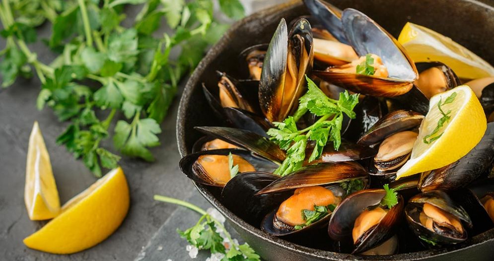 Cozze contaminate da Escherichia coli