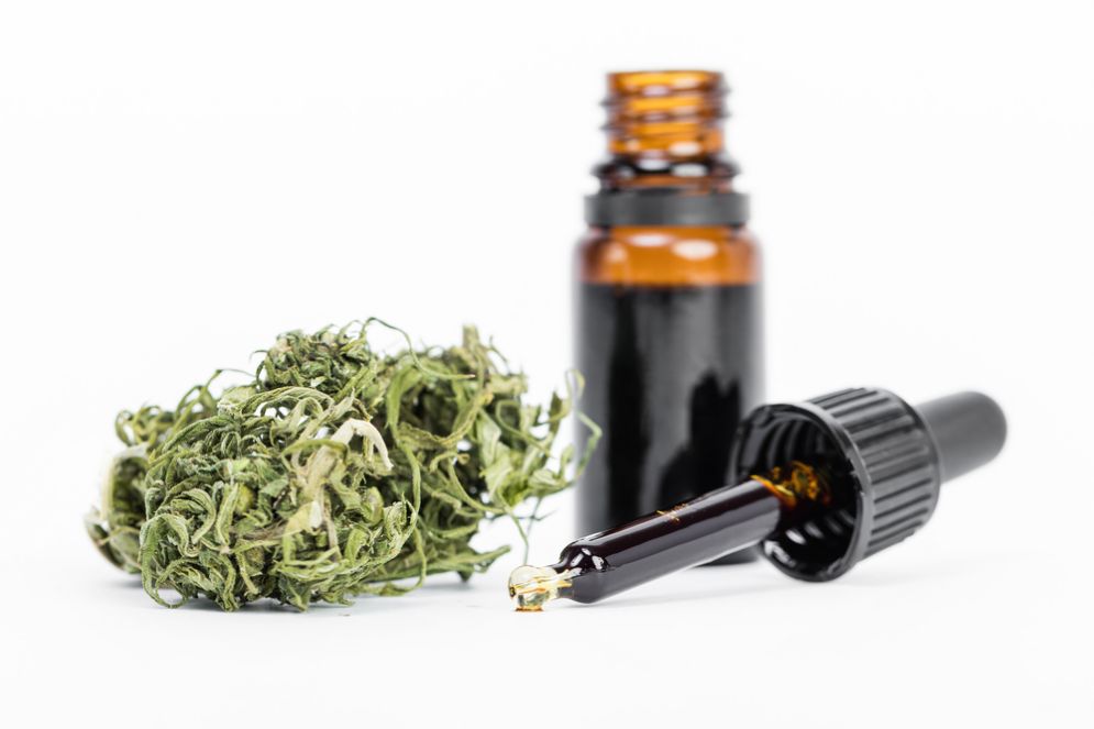 Apre un nuovo Cannabis Store a Rimini