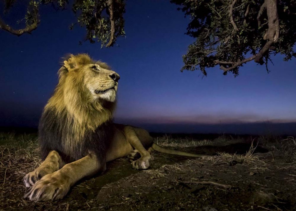 Le incredibili immagini di Oasis Photocontest in mostra a Udine