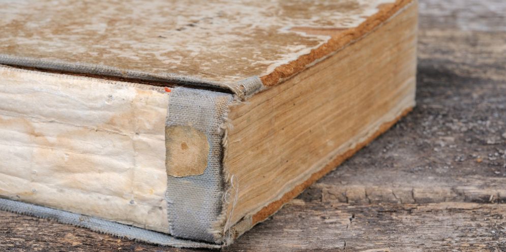 Libri antichi rubati sono stati ritrovati e recuperati a Sacile
