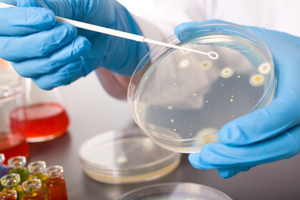 Ricreato in laboratorio un parente stretto del vaiolo