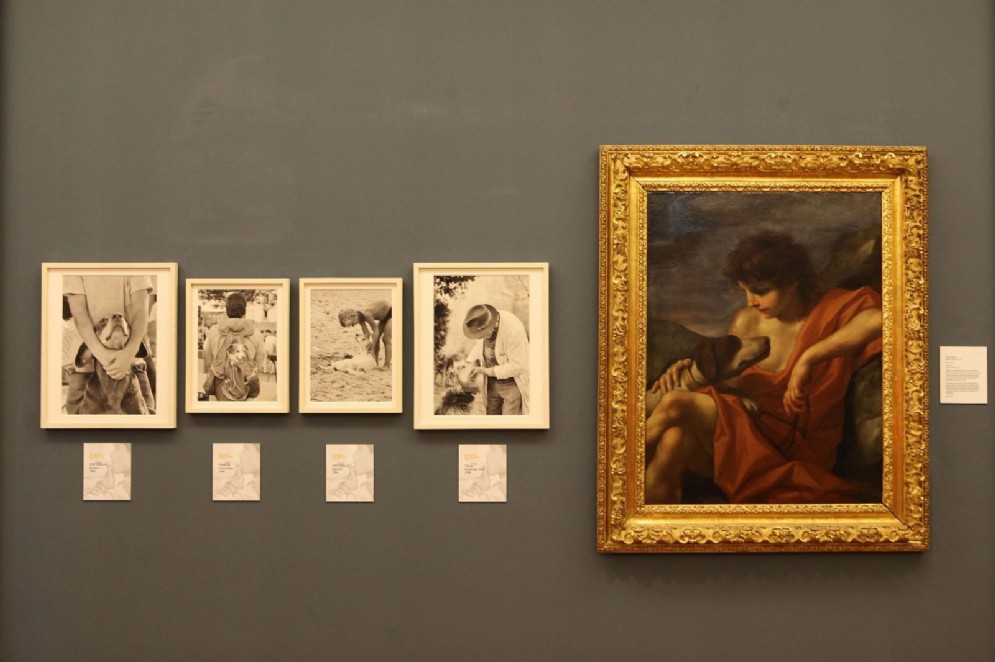 Mostra "Frammenti di bestiario amoroso. Fotografie di Marilaide Ghigliano"