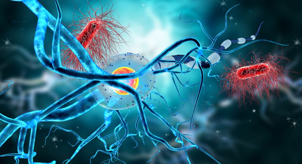 La molecola di Huntington potrebbe essere la soluzione contro il cancro