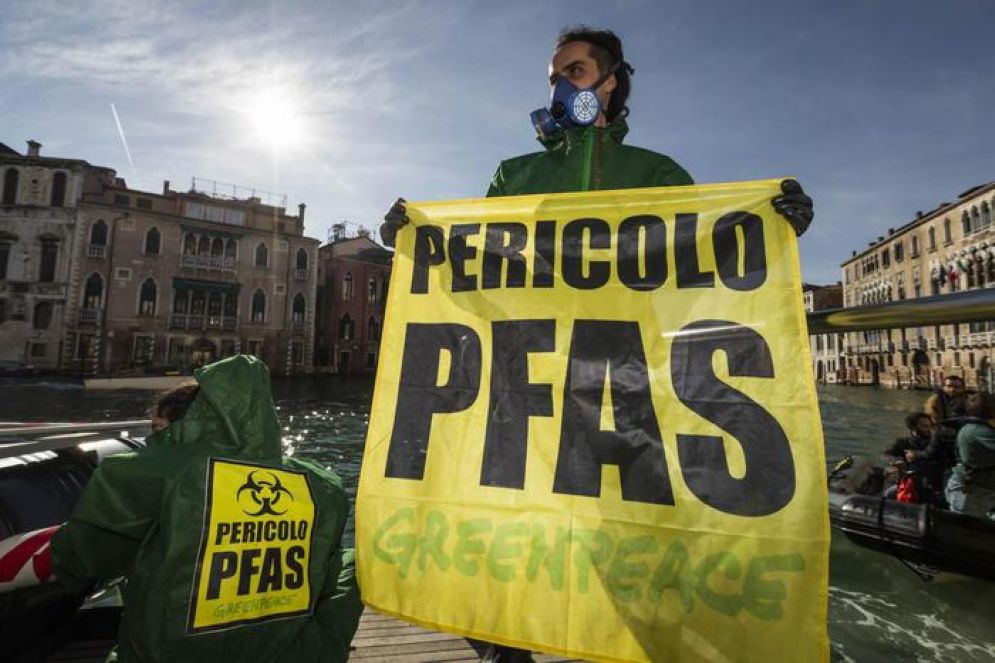 PFAS e testosrterone