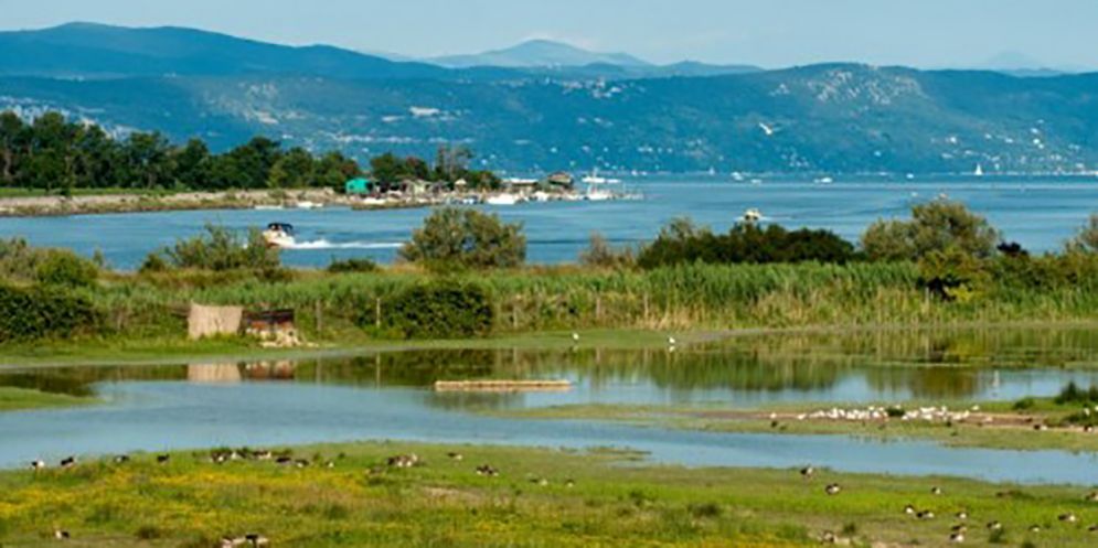 Non ci saranno ulteriori divieti nelle aree protette dell'Isola della Cona