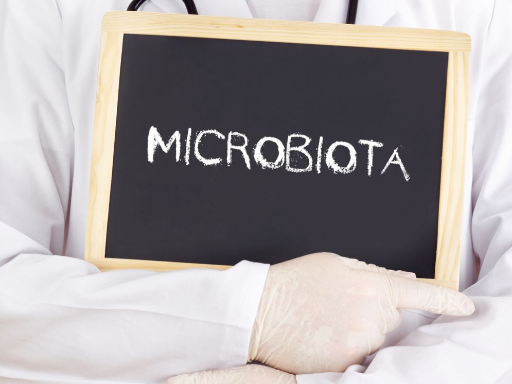 Il microbiota rivela quali malattie potrai avere in futuro