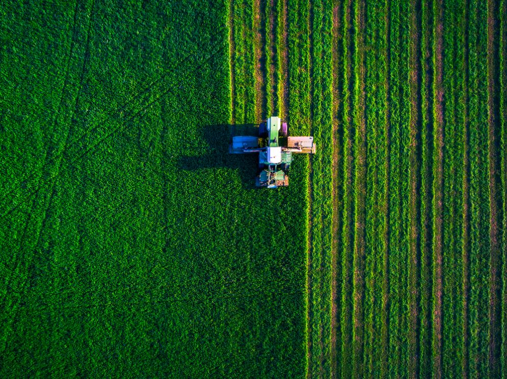 Tre startup da tenere d'occhio a Seeds&Chips