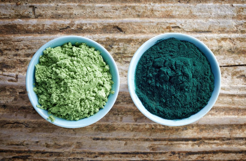 Come stanno le startup dell'agri-food tech in Italia
