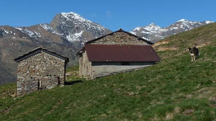 La salita al Monte Cucco