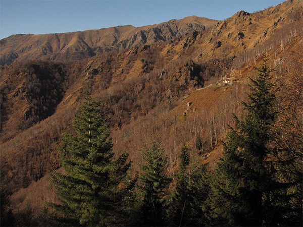 Panorama su cima della Mora e Cima di Bors