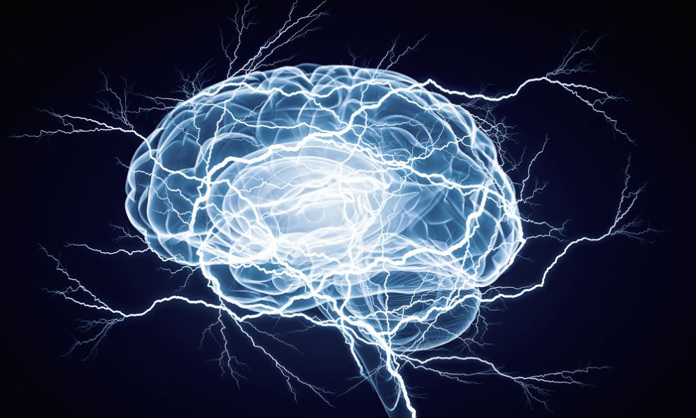 Cervello e demenza