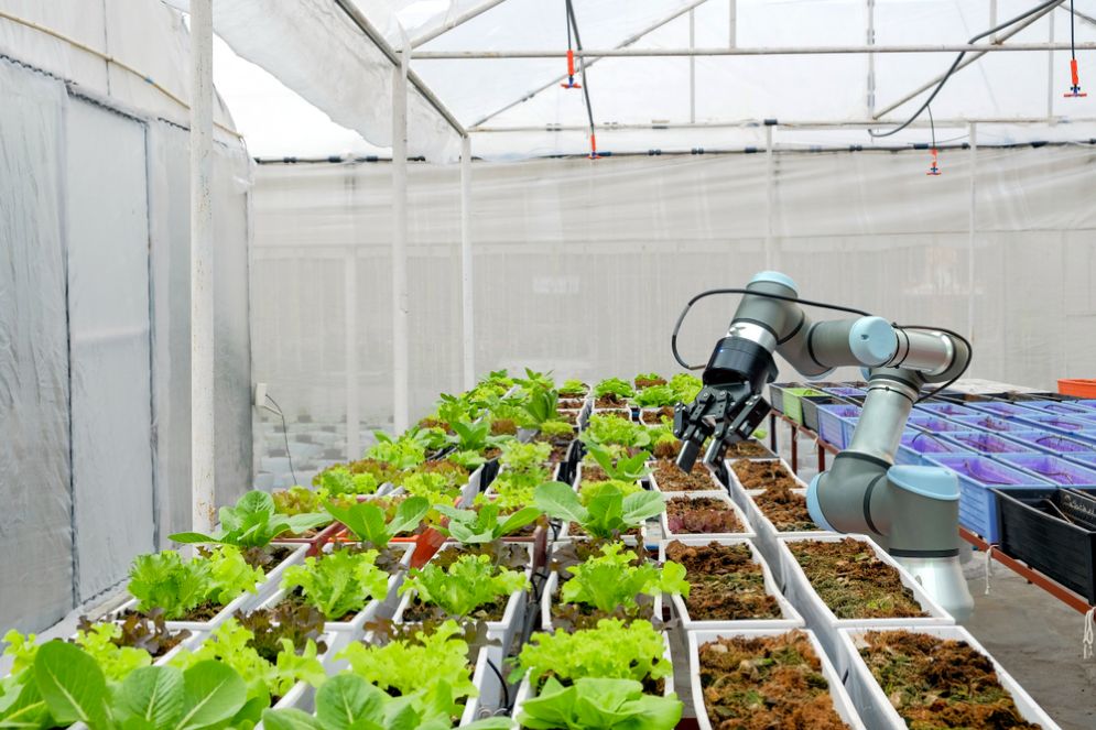 Dalle startup la «trasformazione sostenibile» dell'agroalimentare