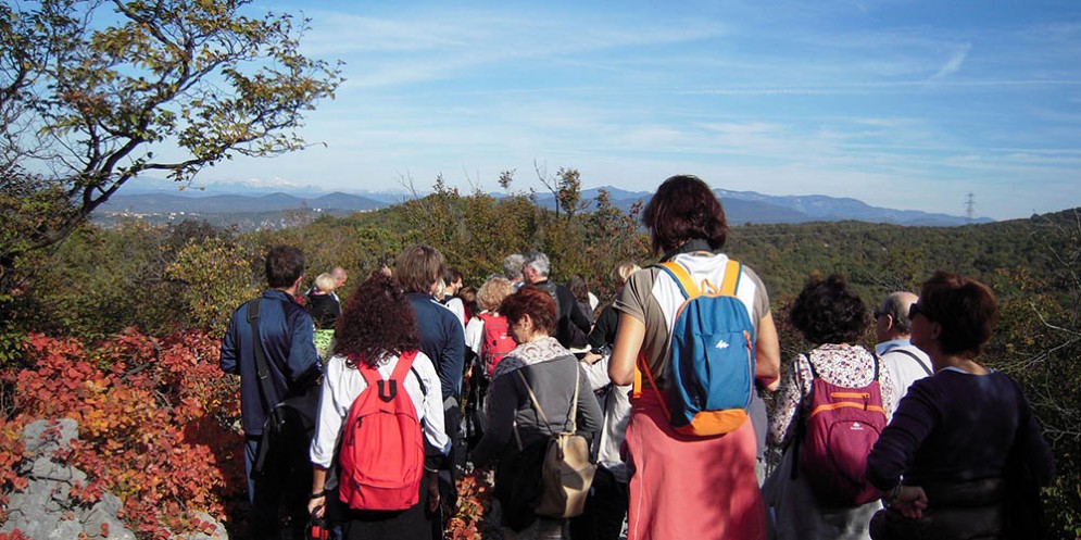 Nelle domeniche dal 5 agosto al 23 settembre passeggiate naturalistiche tra Trieste e Gorizia