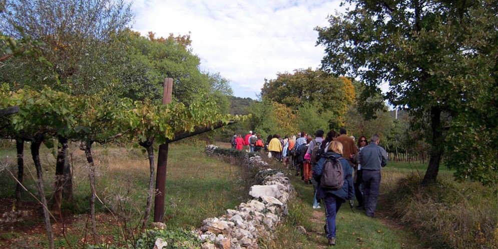 Nelle domeniche dal 5 agosto al 23 settembre passeggiate naturalistiche tra Trieste e Gorizia