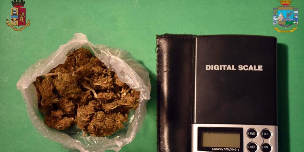 Gorizia, sequestrati stupefacenti e sgominato giro di droga al Parco della Rimembranza