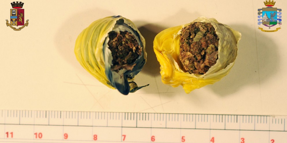 Gorizia, sequestrati stupefacenti e sgominato giro di droga al Parco della Rimembranza