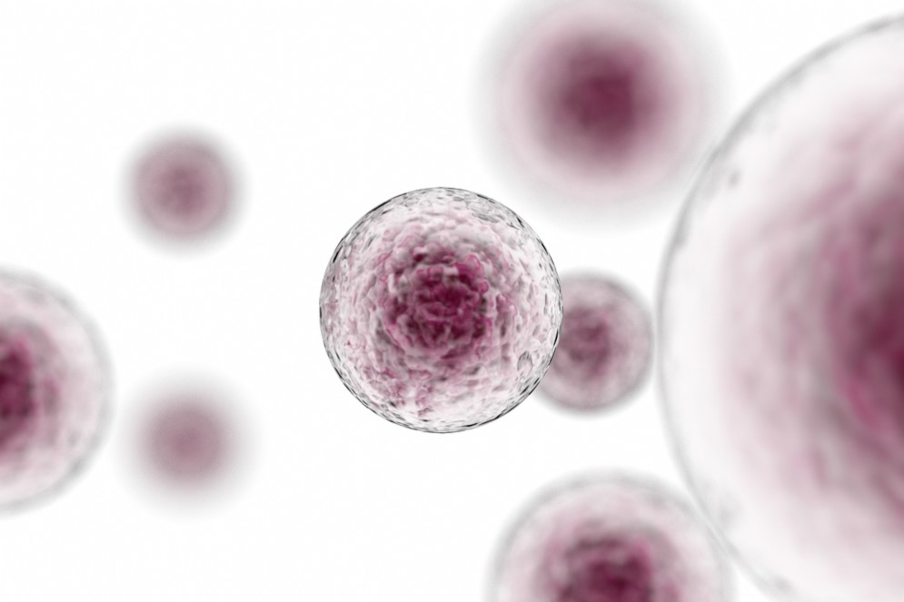 Un'arma che distrugge le staminali del cancro