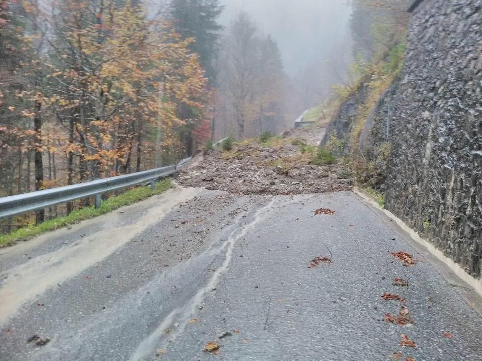 Alberi caduti e frane: il Friuli nella morsa del maltempo