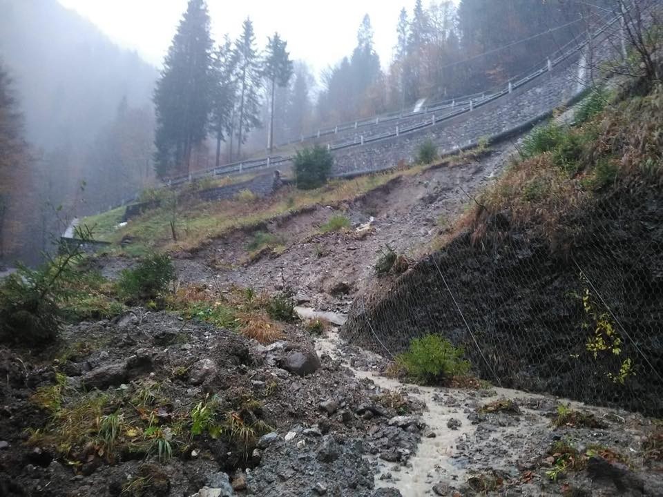 Alberi caduti e frane: il Friuli nella morsa del maltempo