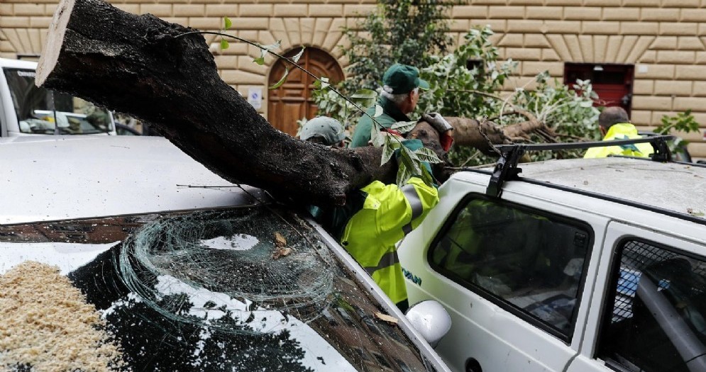 Interventi su alberi e rami caduti nel quartiere Prati da parte del Servizio Giardini di Roma Capitale durante l'ondata di maltempo sulla città