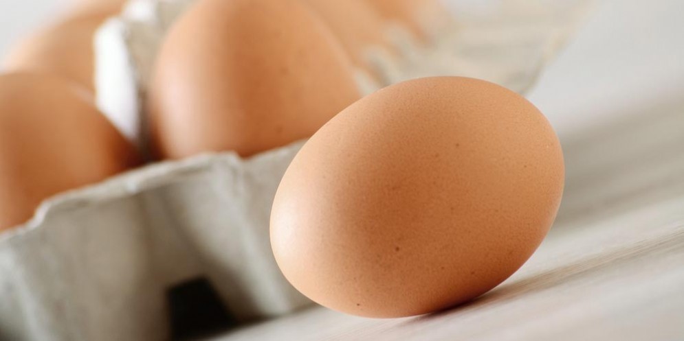 Uova richiamate per rischio salmonella
