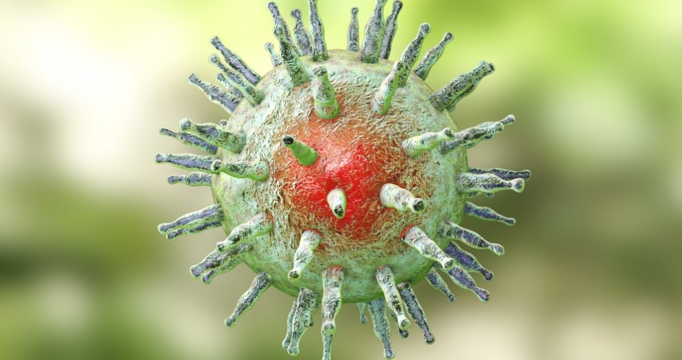 Virus
