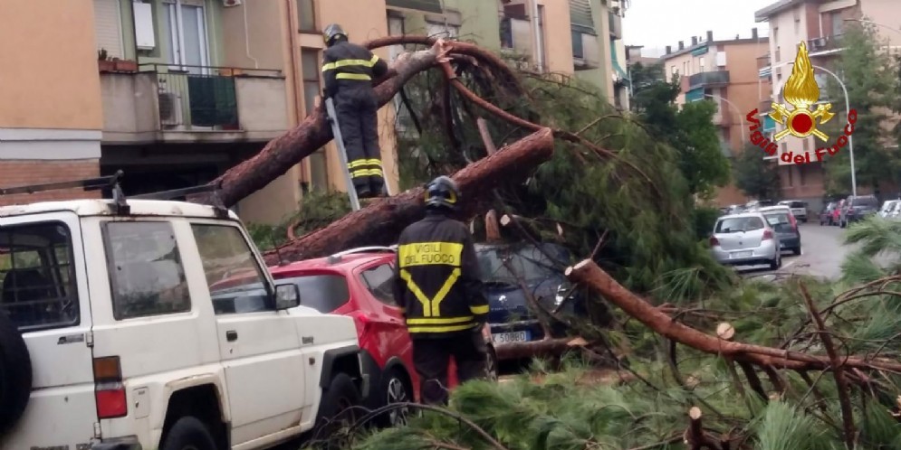 I danni causati dal maltempo a La Spezia