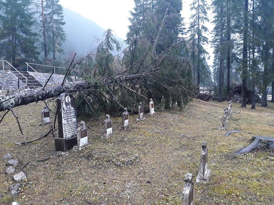 Maltempo: alberi cadono sul cimitero degli Eroi a Valbruna