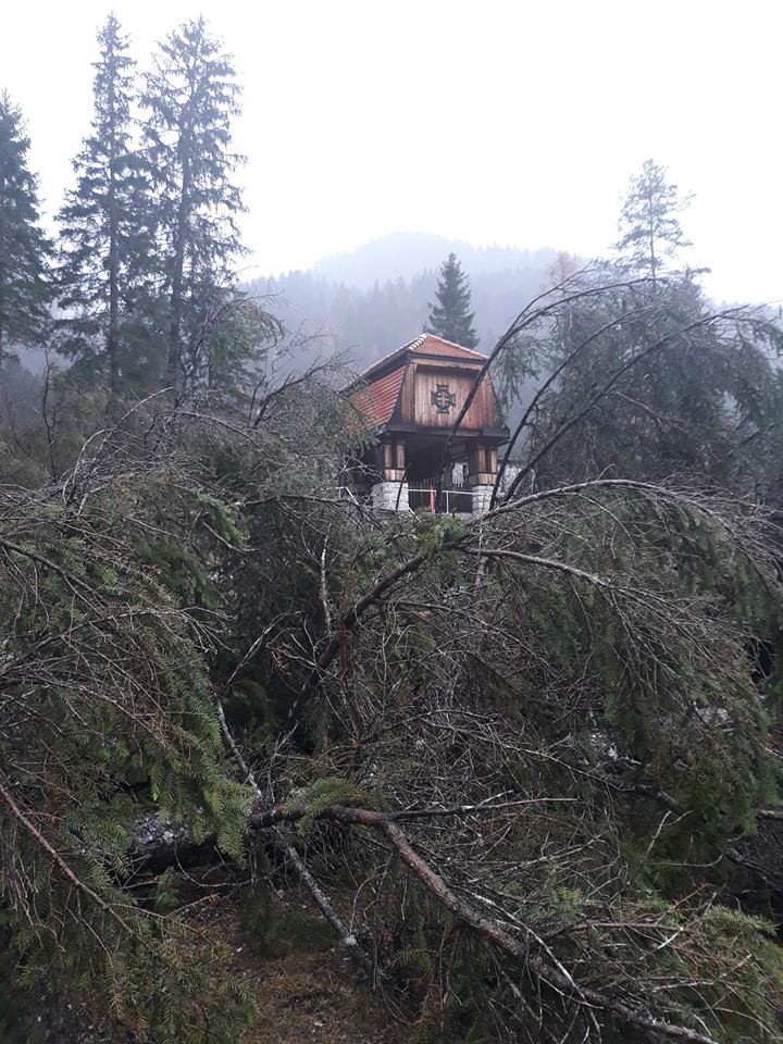 Maltempo: alberi cadono sul cimitero degli Eroi a Valbruna