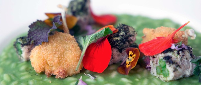 A Torino record di chef stellati: i ristoranti premiati con la stella Michelin nel 2019