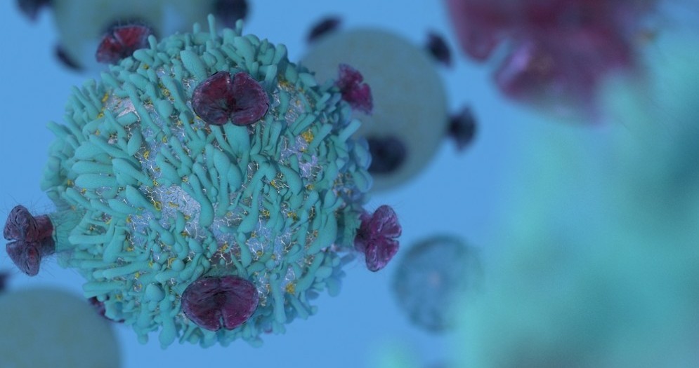 Entro il 205 tutti i tumori saranno sconfitti con l'immunoterapia