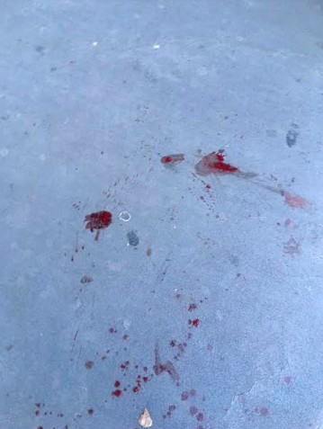 Accoltellamento alla stazione delle corriere: ferito uno straniero