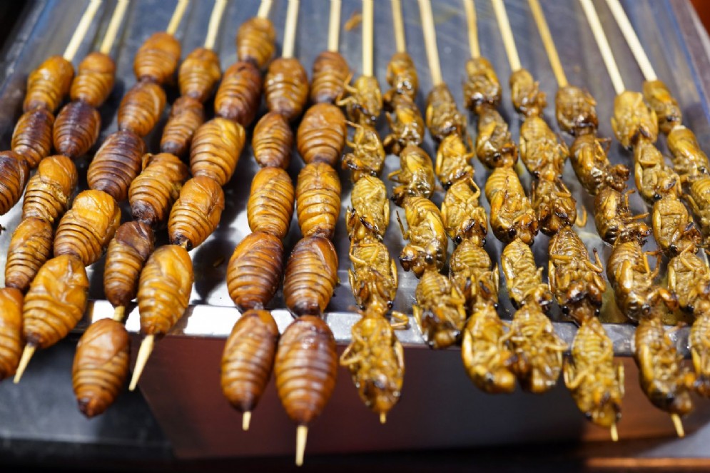 Insetti tra i banchi di un mercato thailandese