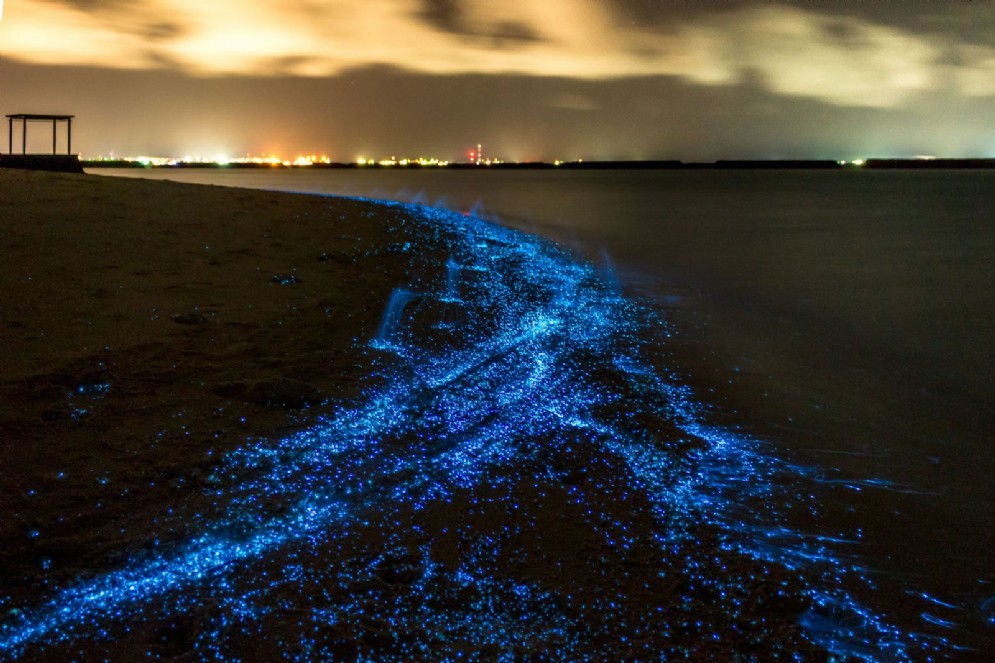 Vaadhoo, Maldive
